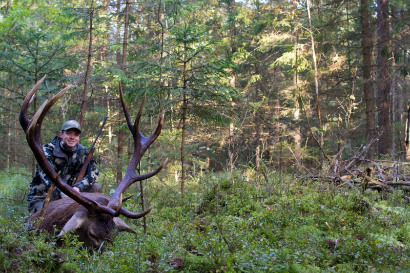 media/image/Hirschjagd-sauenhammer-sh2oEqewe2lzAluw.jpg